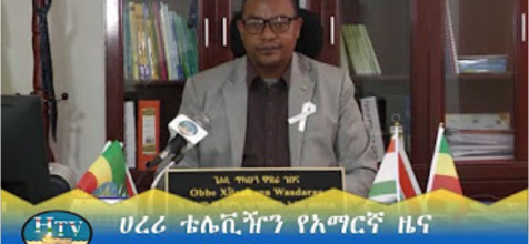 Mental Health Awareness and Neuroscience Capacity Building in Ethiopia
